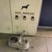 Auto gadgets for dogs