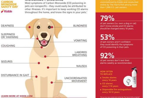 Avvelenamentu di cani: sintomi è trattamentu
