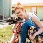 Dog Shelter: How can you help?