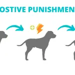 Dog Training Methods: Differences and Results