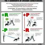 Dog Training: Reinforcement and Punishment