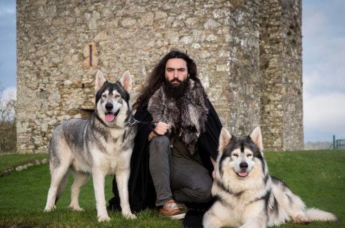 Dogs and cats are the biggest fans of &#8220;Game of Thrones&#8221; (photo selection)