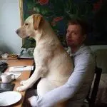 Dog’s personal space