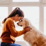 Dogs Reduce Stress