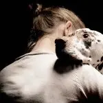 Dogs smell your emotions