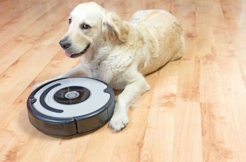 Don&#8217;t leave your puppy alone with the robotic vacuum cleaner!