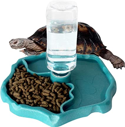 Drinkers and feeders for tortoises