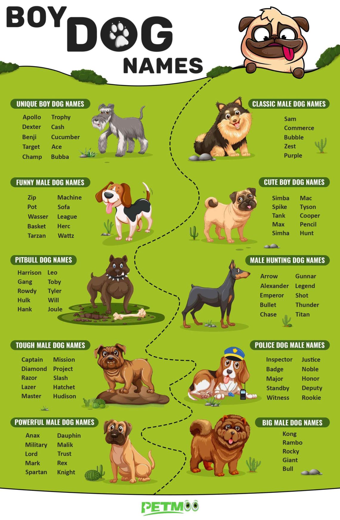 English and American dog names with translation