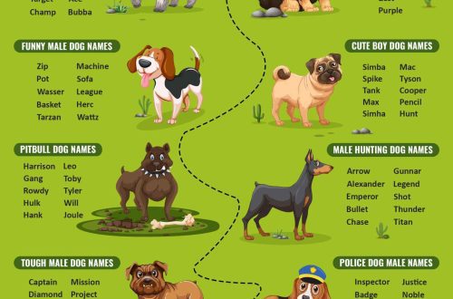 Inglise ja Ameerika koerte nimed koos tõlkega