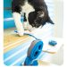 Enriched Environment for Cats: Do Cats Need Company?