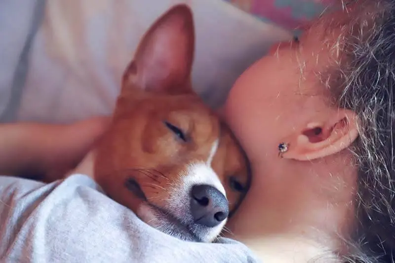 girl hugging basenji