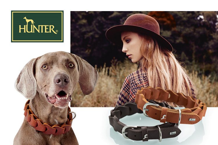Fashionable autumn for your dog