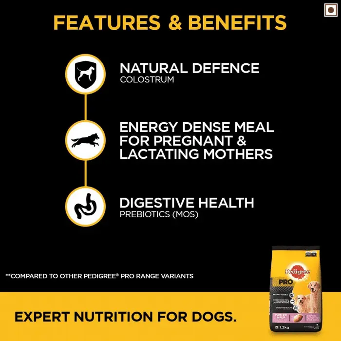 Features of nutrition of a pregnant and lactating dog