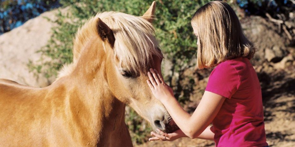 Feed additives for horses