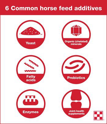 Feed additives for horses