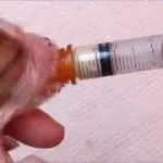 Feeding newborn puppies