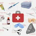 First aid for a cat