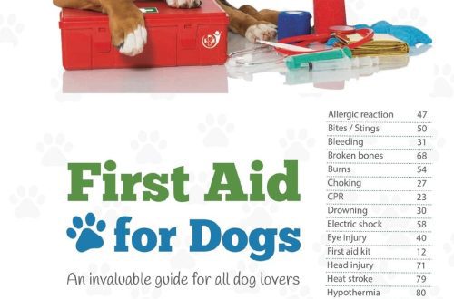 First aid for a dog