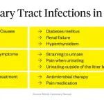 Frequent urination in a cat – causes and treatment