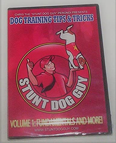 Fundamentals of stunt dog training