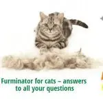 Furminator for cats. How to choose?
