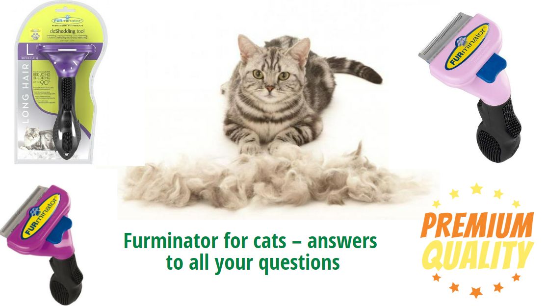 Furminator for cats. How to choose?