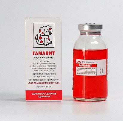 Gamavit for dogs: how to use, instructions, dosages, contraindications