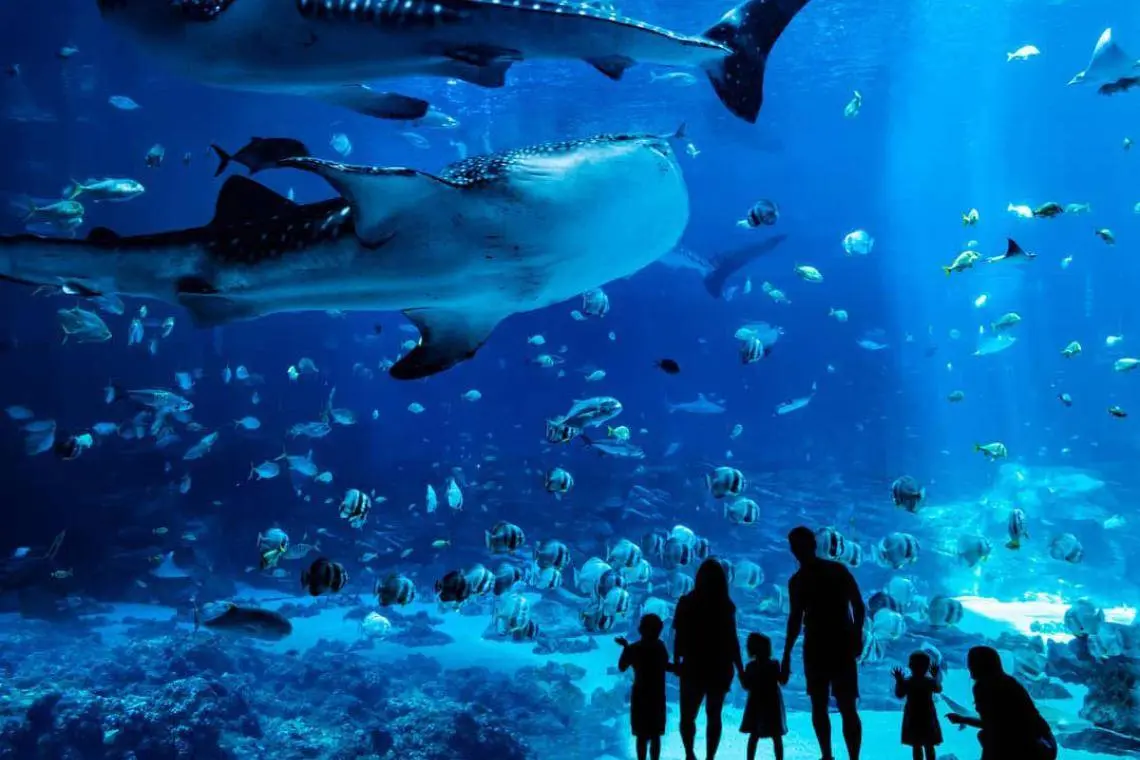 Aquarium World