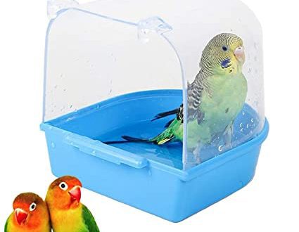 Goods for parrots: the necessary minimum and additional accessories