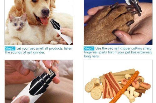 Grinder for dogs: how to choose and use?