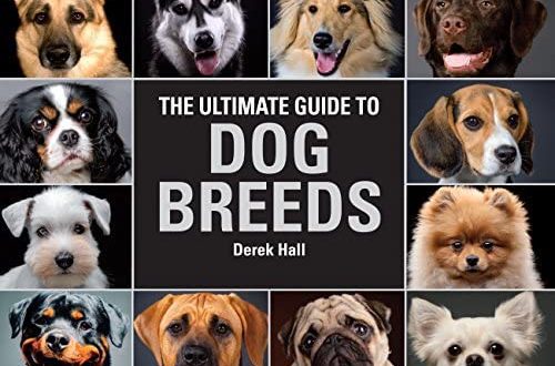 Guide dog breeds