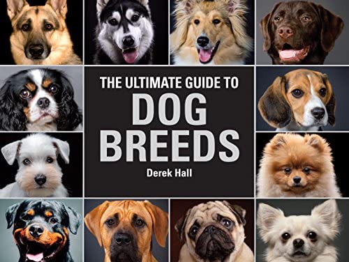 Guide dog breeds