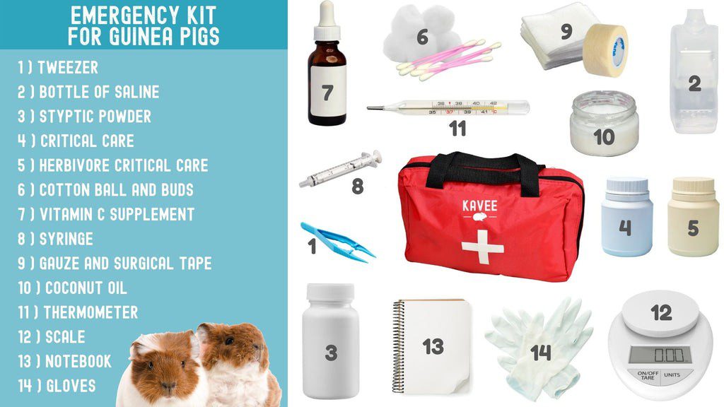 Guinea pig first aid kit