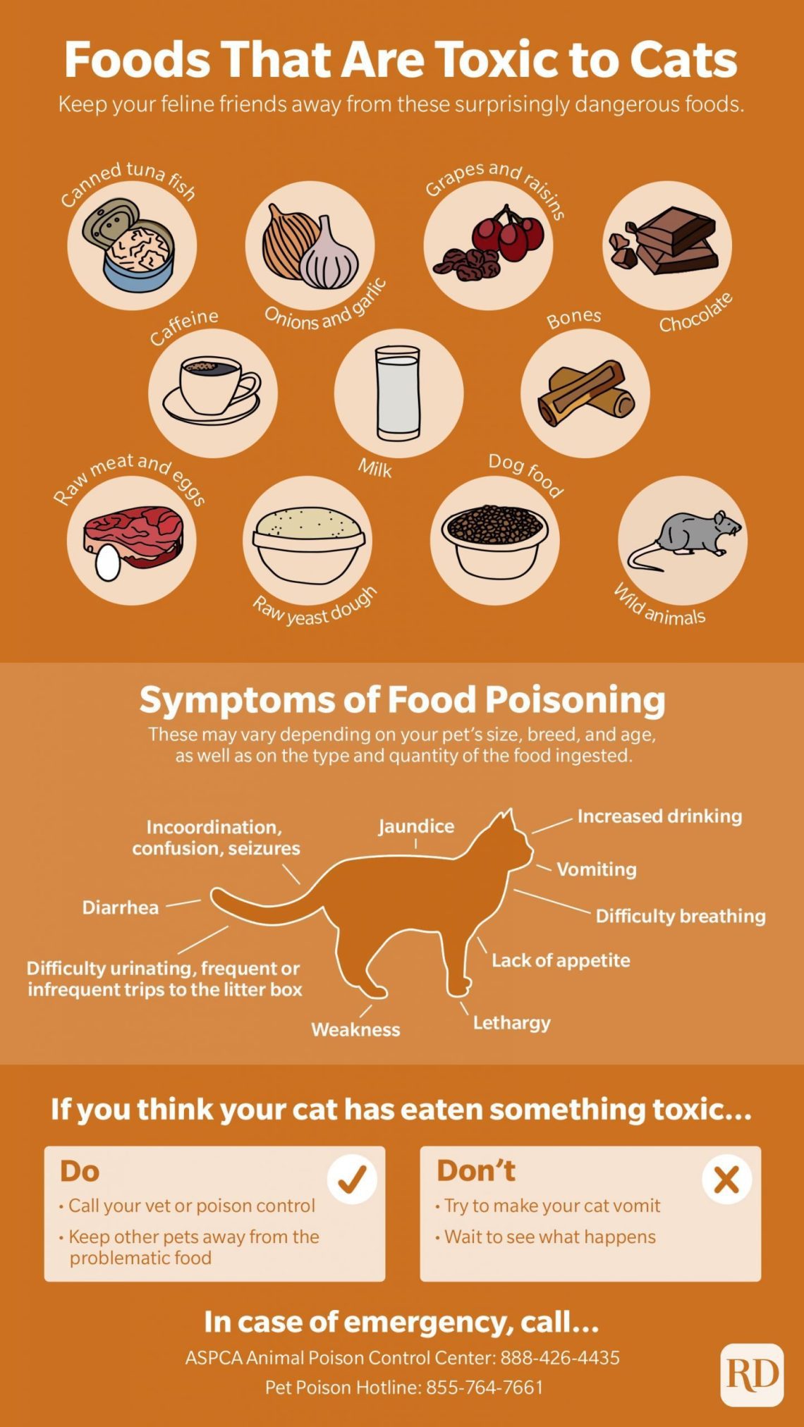 Harmful foods for cats