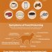 What is the best food for cats?
