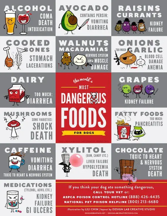 Harmful Foods for Dogs