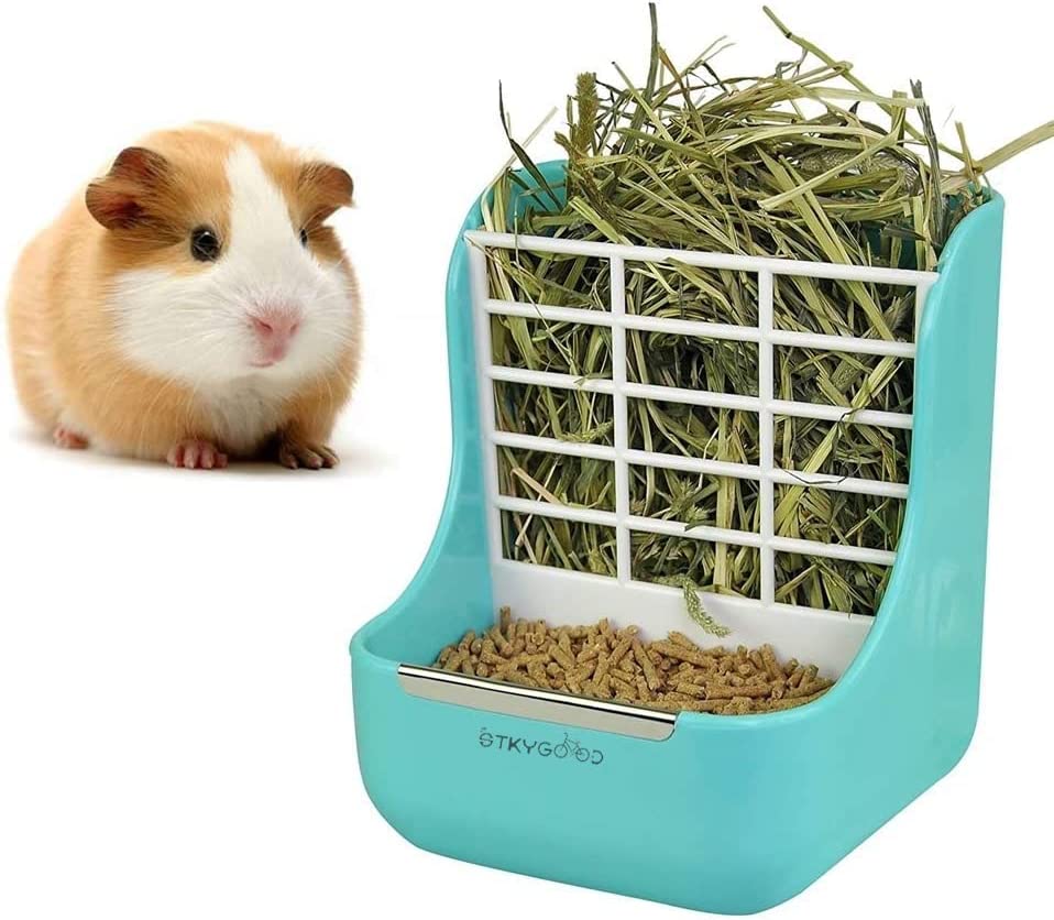 Hay for guinea pigs