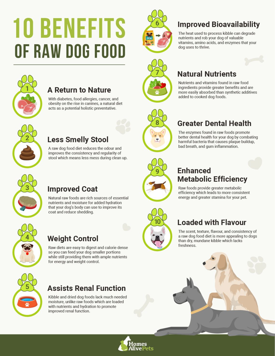 Zdrava ishrana psa