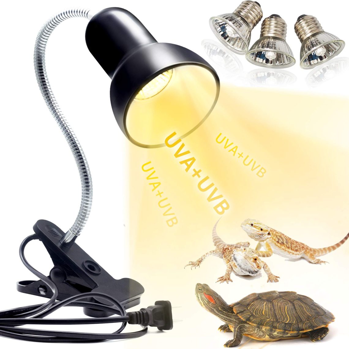 Heating lamps &#8211; all about turtles and for turtles