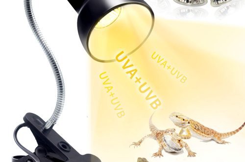 Heating lamps &#8211; all about turtles and for turtles