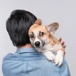 Help a dog that is afraid