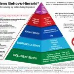 Hierarchy and dominance in dogs