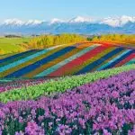 Hokkaido
