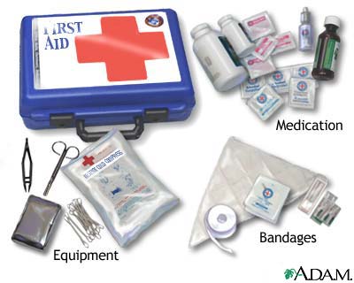 Home first aid kit for a rodent: what to put in it?
