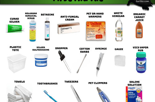 Home first aid kit for turtles