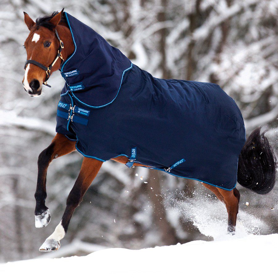 Horse blanket: do you need it?