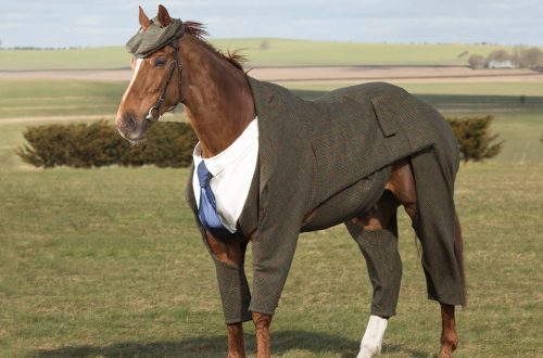 Horse suits