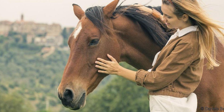 Horses remember the facial expression of a person in a photo