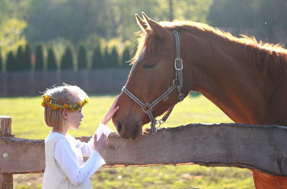 Horses remember the facial expression of a person in a photo