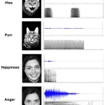 How do cats react to their owner’s mood?